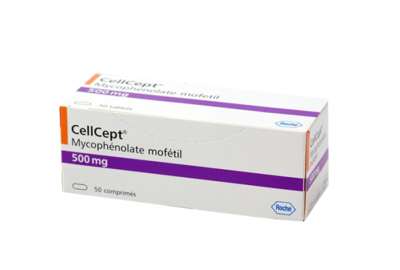 Cellcept (Mycophenolate Mofetil) Distributor